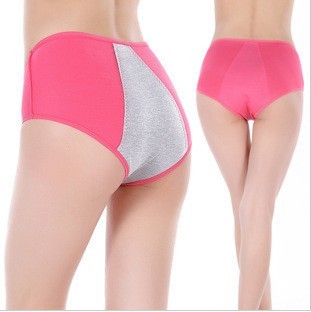 10pcs/lot women's briefs seamless sexy lingerie ladies' panties adult underwear women shorts free shipping