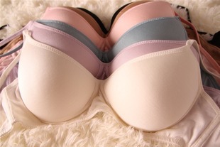 2 schappe silk wireless bra thin bar bra underwear female