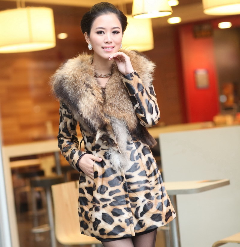 2012 9.25 big gold large raccoon fur leopard print genuine leather clothing  belt plus cotton b737 women down jacket