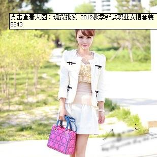 2012 autumn new Professional Women Skirt Suits 8843