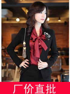 2012 autumn women's OL outfit casual small suit jacket professional set plus size clothing slim