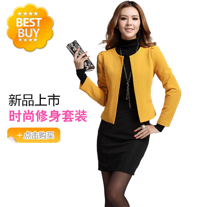 2012 autumn work wear women set fashion slim suit skirt 9020