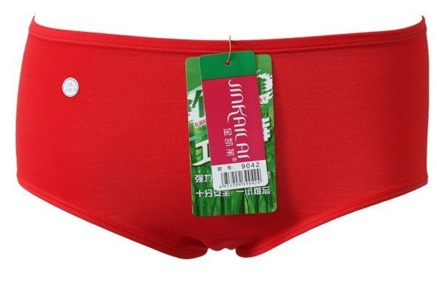 2012 bamboo fiber briefs sanitary panties sexy underwear women lady lingerie women's boxer shorts cotton intimates U003