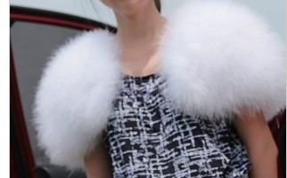 2012 cape fur small short jacket small cape bride female fur