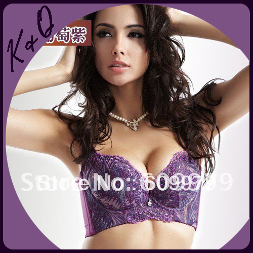 2012 Hot Sale Bras, Spandex Lycra Embroidery Bras Underwear Set Women Peacock Beautiful Design BC1008 Freeshipping