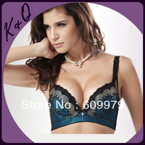 2012 Hot Sale Top Grade Embroidery Lycra A, B, C Cup Lady's Bra Sets Blue, Wine Red Beautiful Peacock Design BC1021