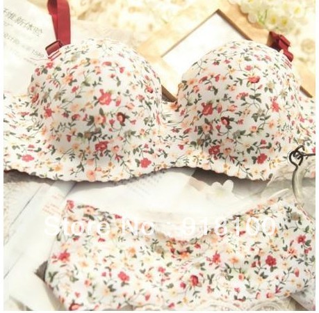 2013 Arrival free shipping one piece seamless push up bra set Floral underwear  wholesale&retail