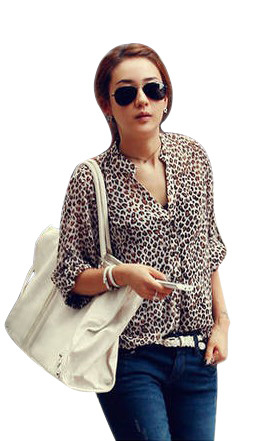 2013 Fashion Shirt for Women Mandarin Collar Chiffon Blouse leopard print V Neck thin long sleeve shirt Free shipping WCX001