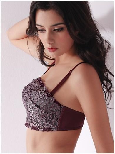 2013 free shipping embroidery classic bra  chest wrap bra  Sexy Ladies Lace Bra  NB-020