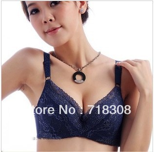 2013 Free shipping  Hot sale Lace Sexy Bras   Women's Lingerie braS  AB cup   Bra Lanny women bra push up bra for women