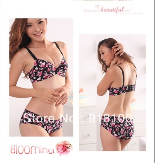 2013  Free shipping three hook-and-eye adjustable underwear set one piece seamless bra and panties A8504 wholesale/retail