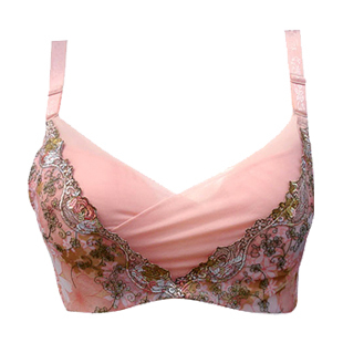 2013 Hot-selling 2013 thin underwear tube top bra design thin bra cover push up