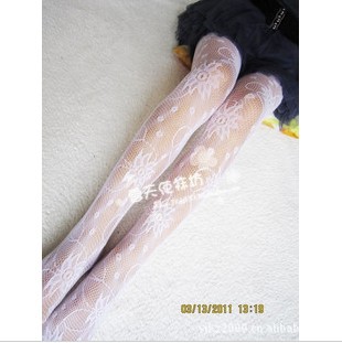 2013 new Spring  Fashion Stretch Jacquard Sexy Leggings Tights For Women 1672