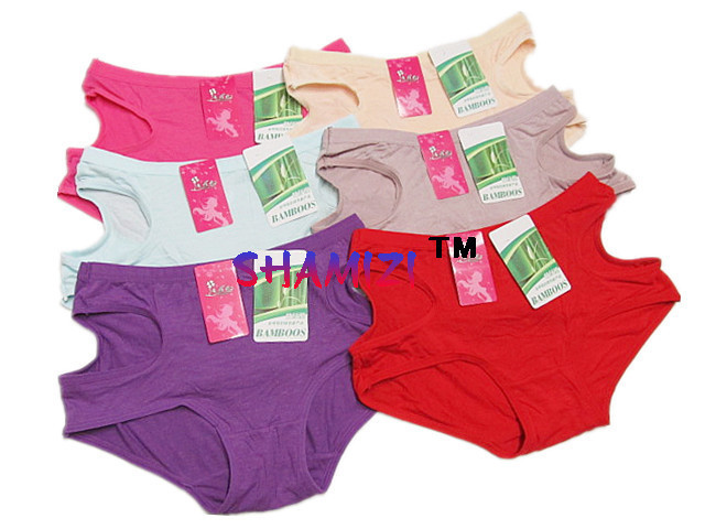 2013 newThe new 6010 natural bamboo fiber abdomen briefs Ms. underwear wholesale