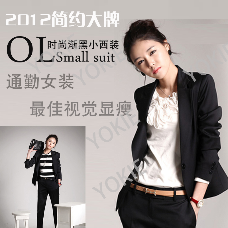 2013 spring ol work wear women's set fashion pants suit jacket female work wear formal