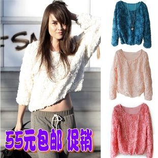 2013 spring women's fashion rose casual o-neck long-sleeve chiffon shirt female basic shirt top