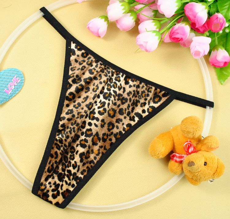 204 sweet sexy leopard print zebra print thong t women's thong sexy panties