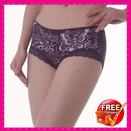 3pcs/lot sexy women's underwear *95%Microfiber 5%Spandex briefs &free shipping