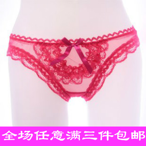 5 colors Temptation female panties women's transparent panties lace sexy low-waist briefs ultra-thin