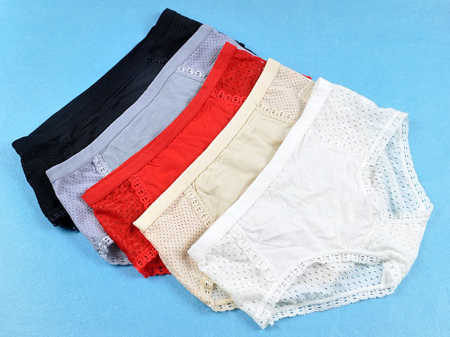 5 Plain Colors Mesh Holes Lady Women Cozy Lingerie Panties Briefs Knickers Free Shipping UW117