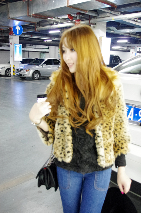 9060 autumn and winter classic hot-selling leopard print turn-down collar short jacket