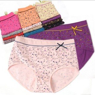 9pcs/lot guarantee 100% Cotton women briefs Floral underwear + free shipping + wholesale support