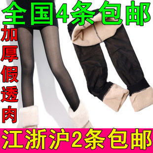 Autumn and winter meat stockings double layer brushed warm pants ankle length trousers female thickening plus velvet legging