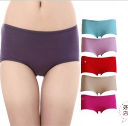 Bamboo Fiber High Waist Underwear For Plump Women