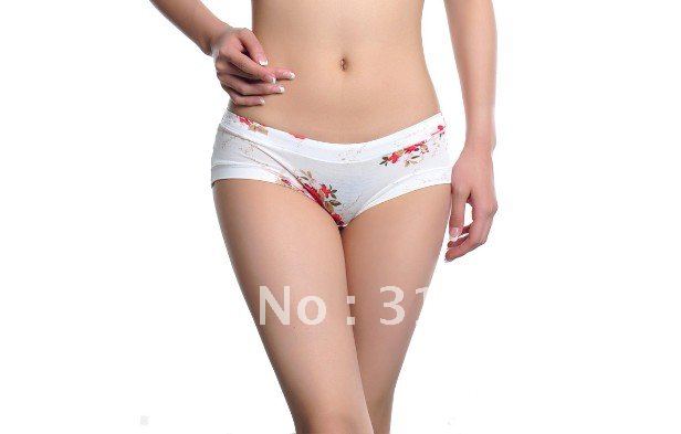 Bamboo Fiber Panties Flowered Low Waist Women's Underwear Briefs Knickers 900852-510013C Free shipping