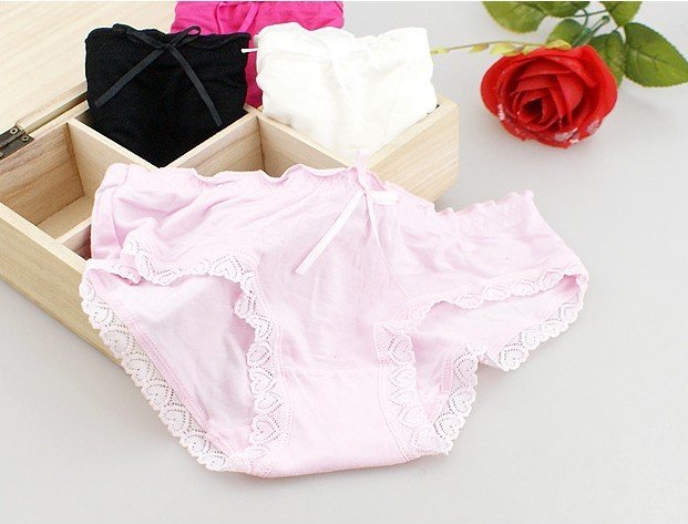 Bamboo Fiber underwear cotton Ladies briefs lace wholesale 10pcs/lot Free shipping