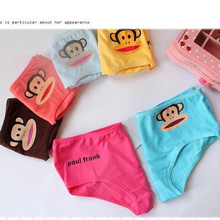 Big monkey (6pieces/lot)100%cotton women sexy panties