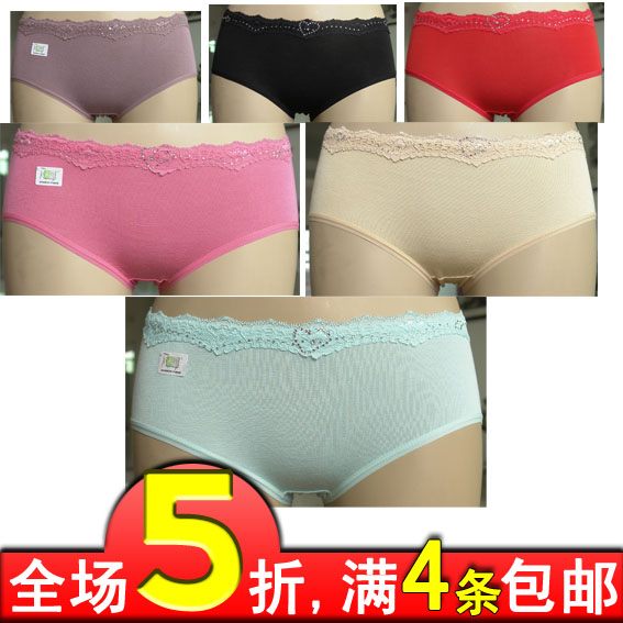 Big sexy lace women's briefs bamboo fibre panty female transparent