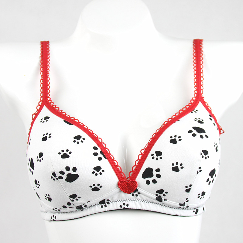 Branded bras, quality lady underwear, good design, cotton material, high quality, free shipping