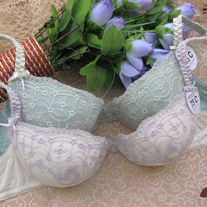 Ch3 shopping cart thick thin bodyzone noble and exquisite embroidered underwear bra 75cd80c