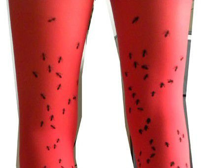 Cherry In The Eden, Free Shipping, Autumn and winter thickening ant stockings personalized basic