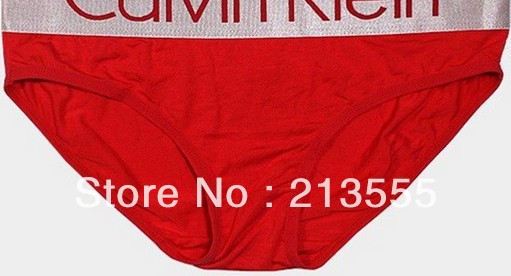 DHL free shipping:100PCS+Modal+High Quality women's Underwear Boxers Briefs  Underwear Boxer Shorts With Retail Bag