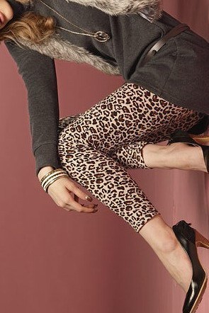 Dl 7 leopard print socks legging fashion lc7827-2