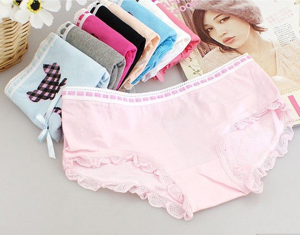 Elegant Cat Lace 100% Cotton Panties Women's Trigonometric Panties Multicolor 9 Colour Free Shipping