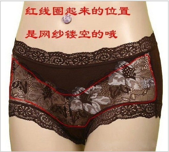 Embroidered Lace Bamboo Fiber  Panties/Briefs For Ladies(12 colors)  Free Shipping