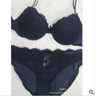 Europe and the United States brand Canada brand bud silk embroidery bra online in blasting