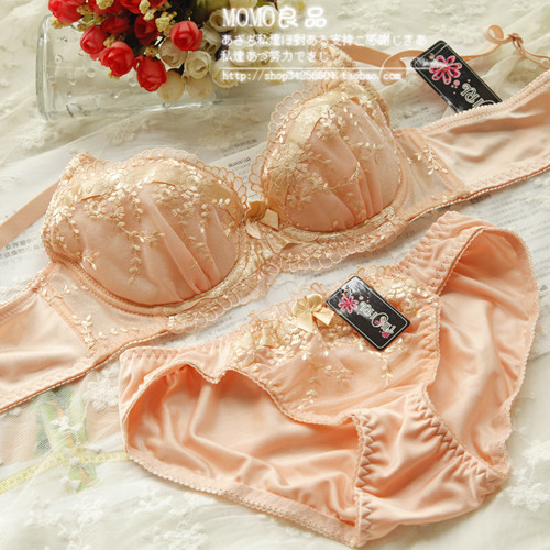 Exquisite embroidery breathable push up shaping sexy bra underwear set