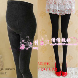 Extra large maternity pantyhose spring and autumn of meat velvet socks maternity socks