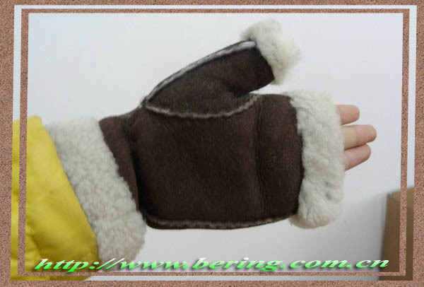 Fashion and Warm Winter Double Face Leather Gloves for Women