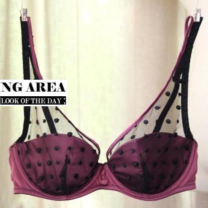 Fashion vs thin push up sexy silks and satins lace bra underwear set