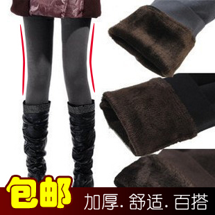 Free shipping 1 2012 autumn and winter thickening legging ankle length trousers koala velvet warm pants female