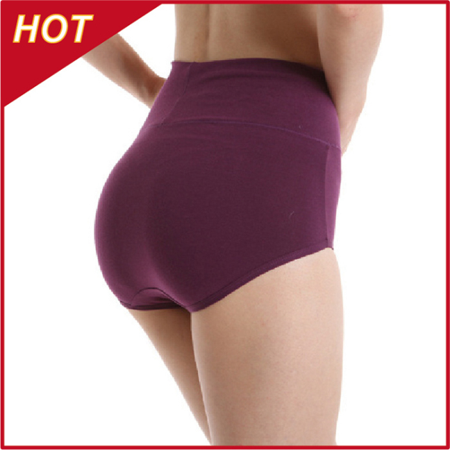 Free shipping (1 piece) women's briefs everyday confortable ladies panties p001