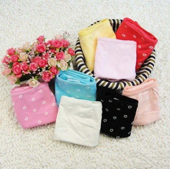 Free Shipping  100% Cotton Physiological Pants Underwear Women 2012 Floral Fashion Panties