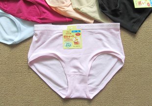 Free Shipping 10cs/lot Women Underwear/ Underwear Women ,Panties ,Women Panties EN-41