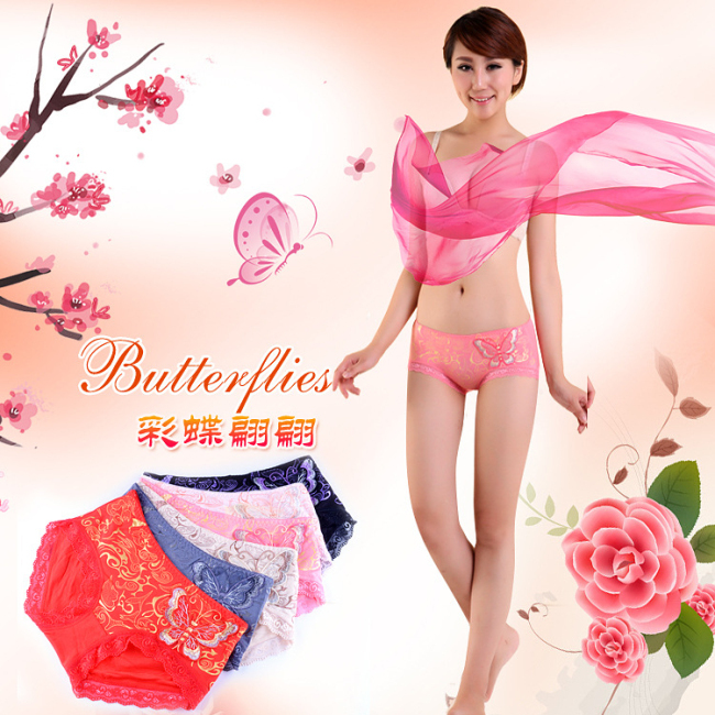 Free Shipping 10pcs/lot Sexy 95% Microfiber 5% Spandex Women Panties Fashion Underwear Multicolor