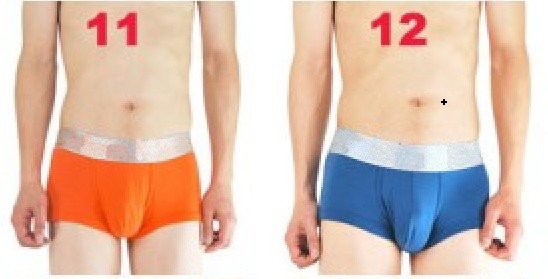 Free Shipping -10pcs/lot Steel Boxer Women's Sexy Underwear/Underpants/Belts/Boxer shorts+ Mix Order